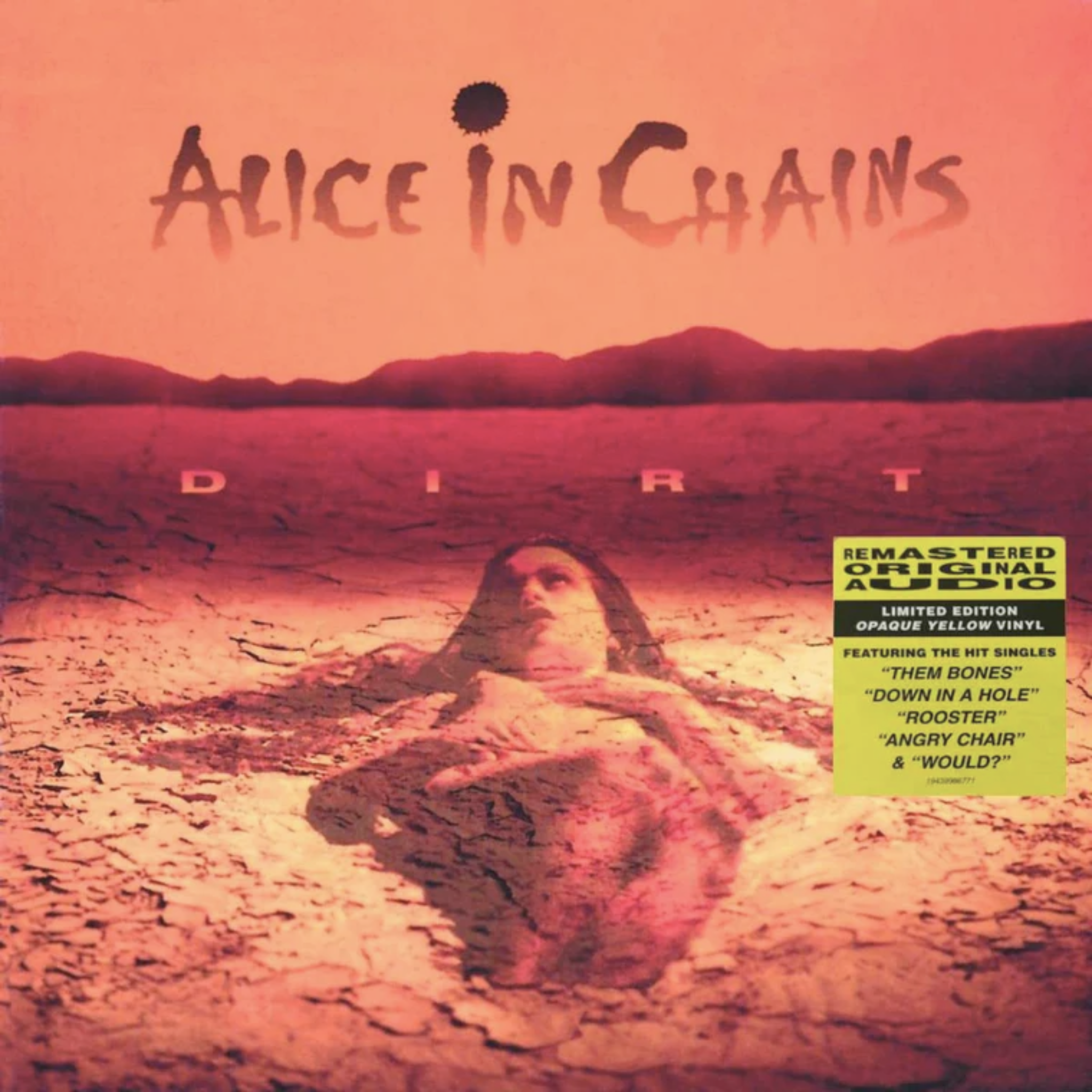 Alice in Chains Dirt vinyl record