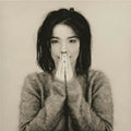 Bjork Debut Vinyl album