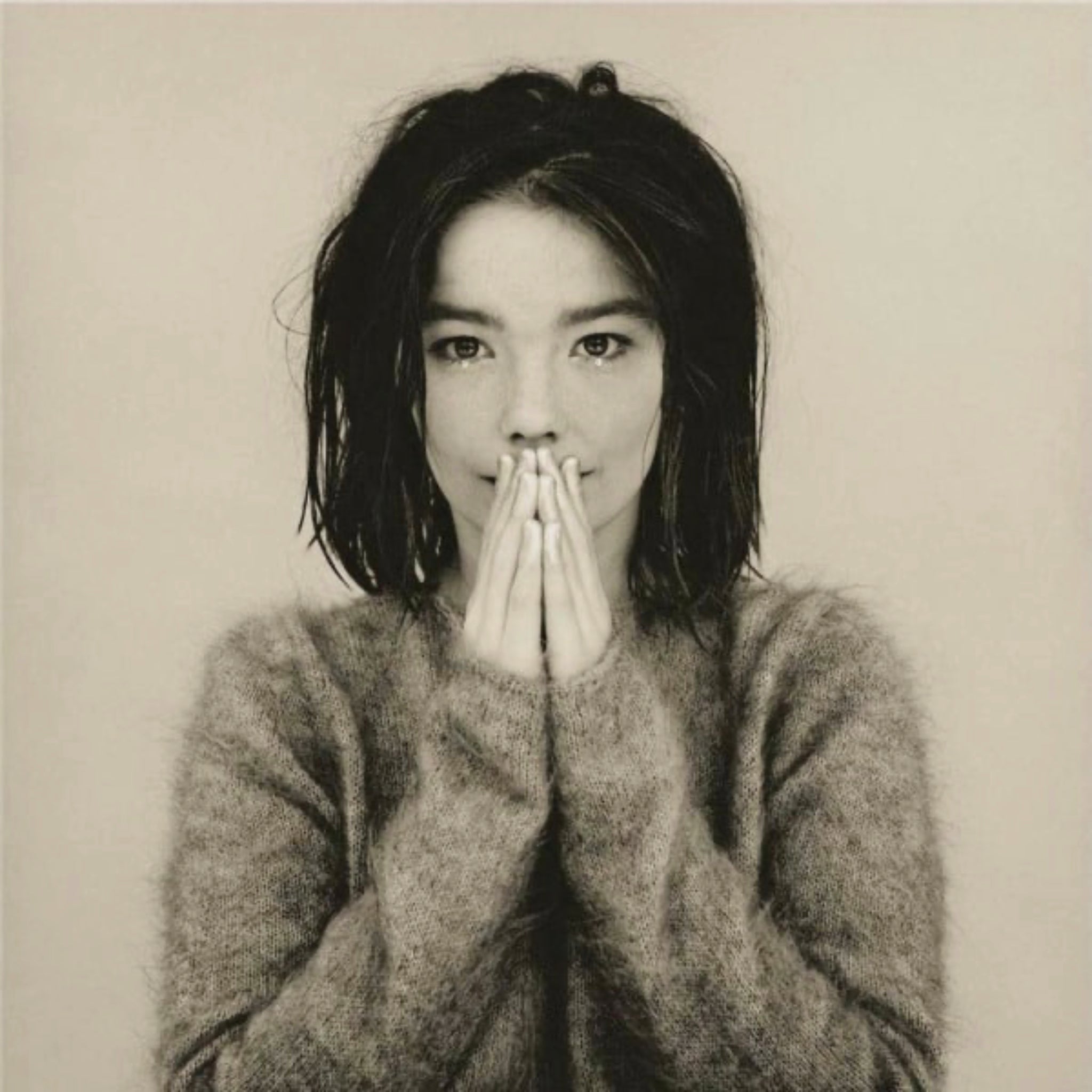 Bjork Debut Vinyl album