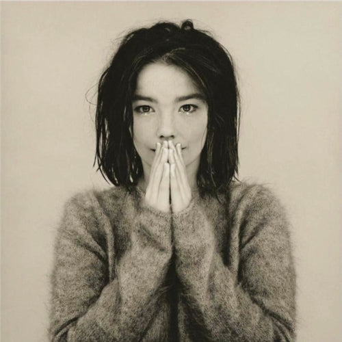 Bjork Debut Vinyl album