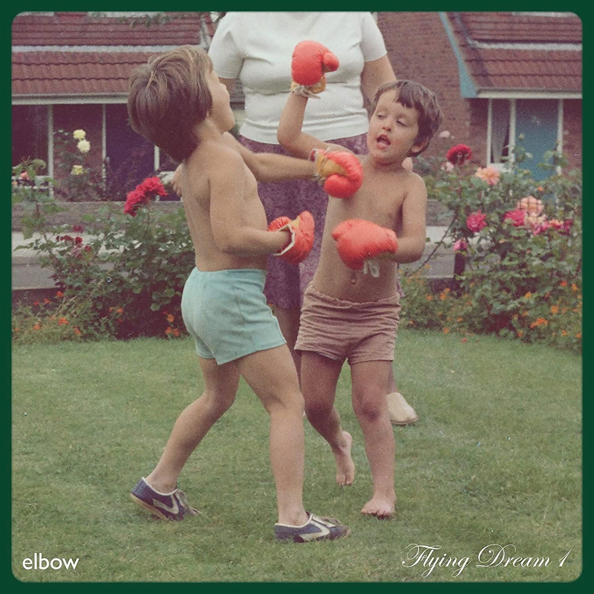 Elbow Flying Dream 1 vinyl LP
