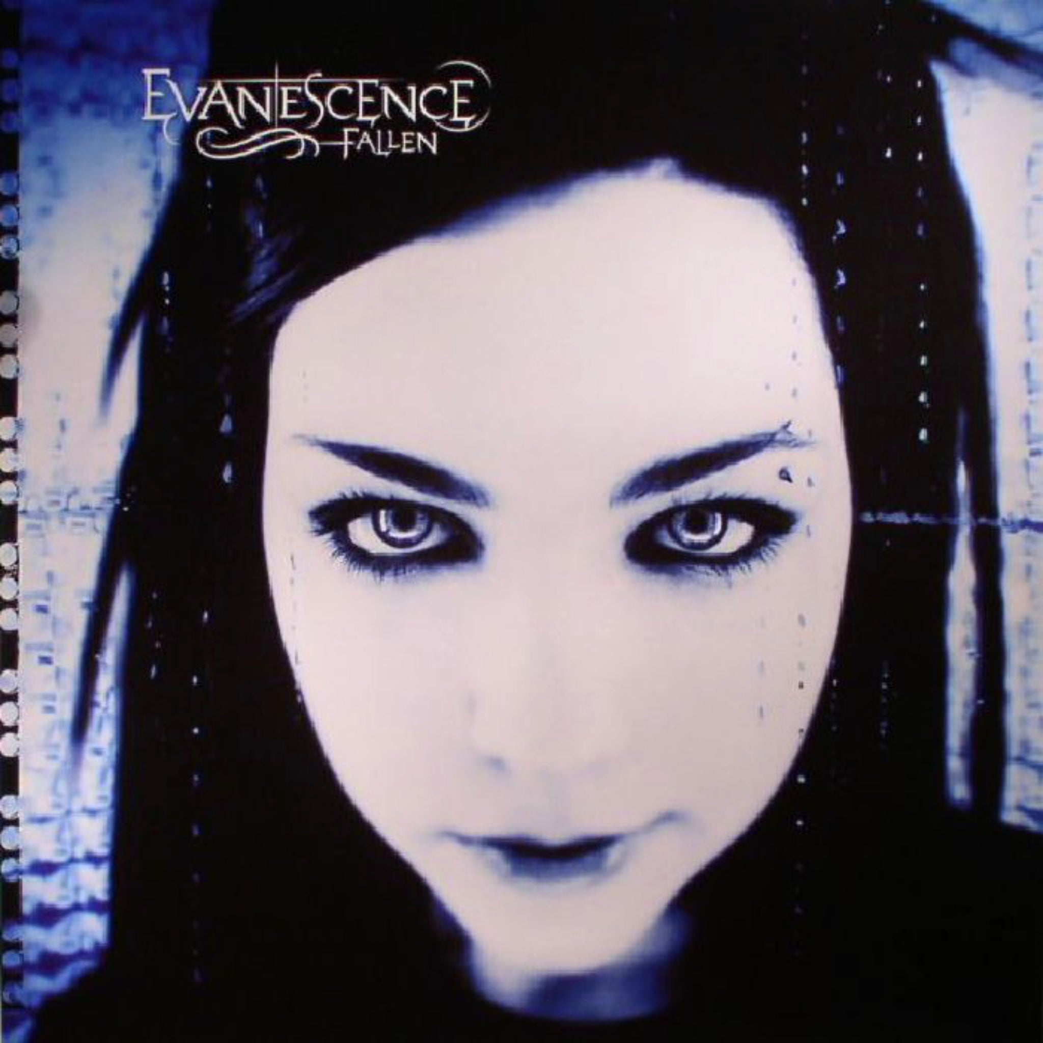 Fallen by Evanescence Vinyl album