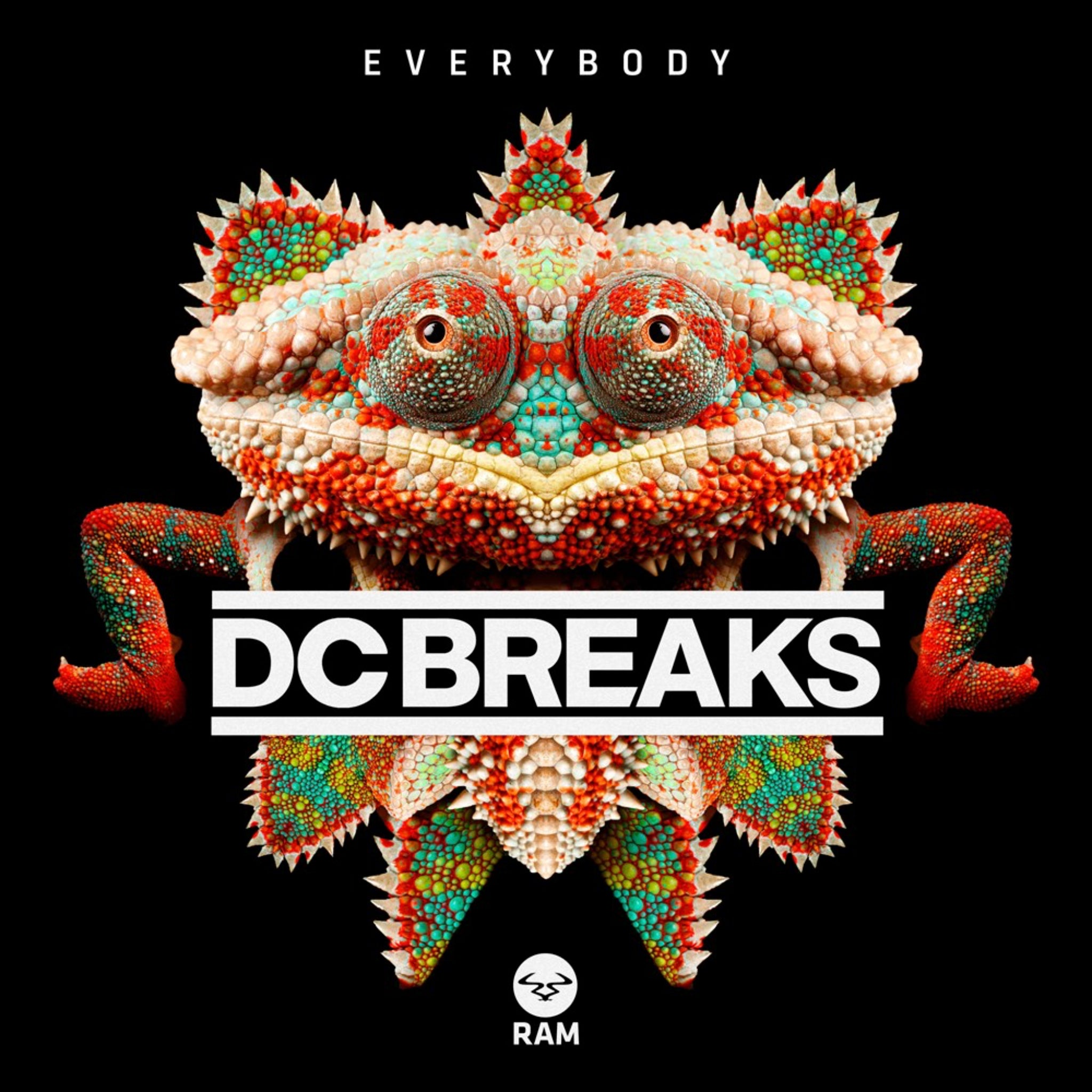 DC Breaks - Everybody/Moving On 12" vinyl (Used MINT)