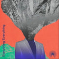 Everything Everything - Mountainhead vinyl LP