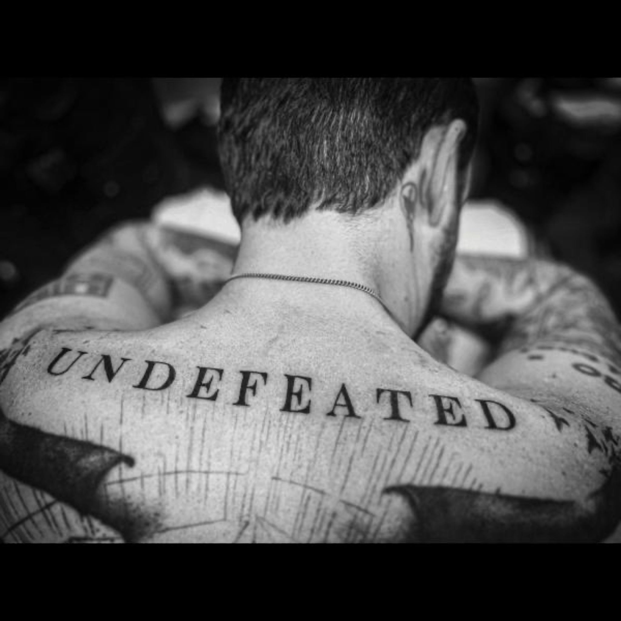 Frank Turner Undefeated vinyl album