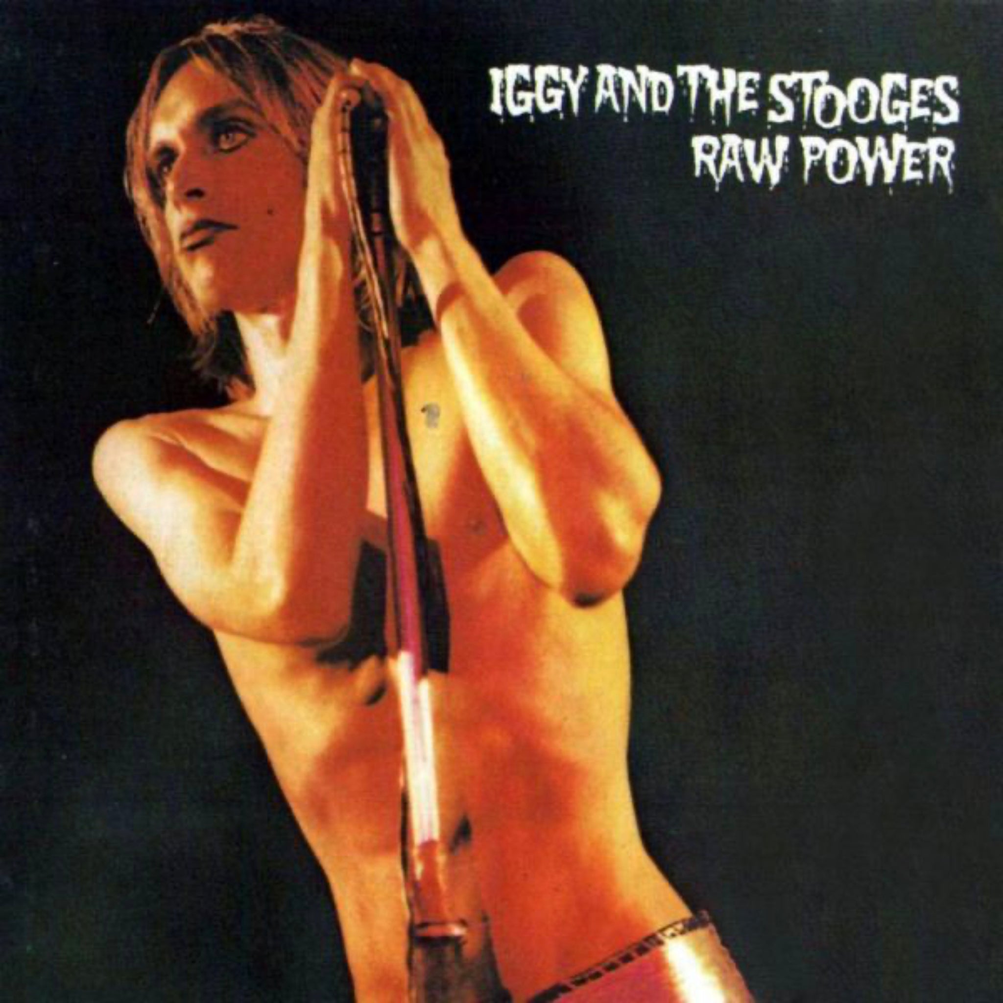 Iggy & The Stooges Raw Power Vinyl LP