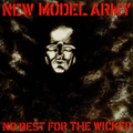 No rest for the wicked NMA vinyl record