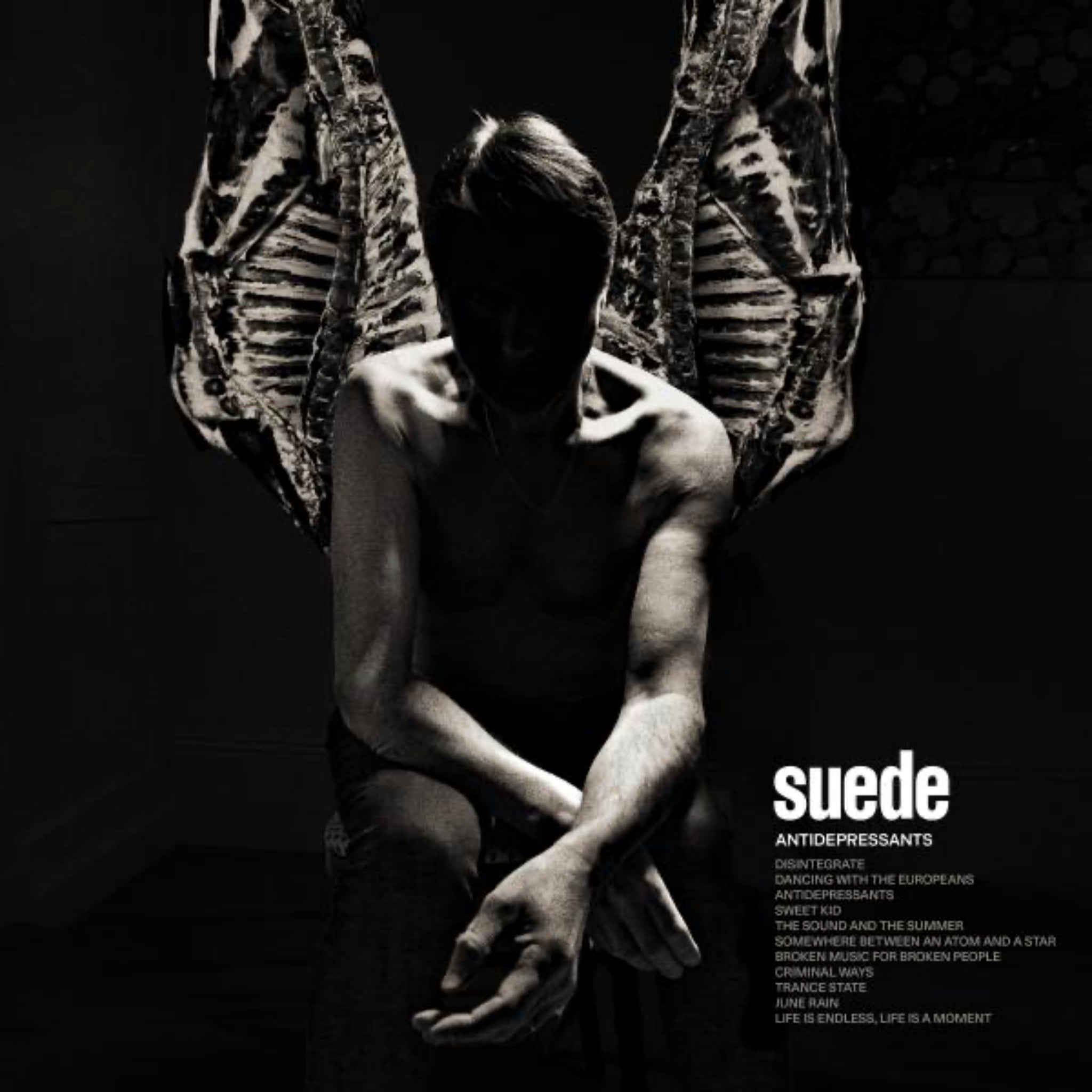 Suede Antidepressants Vinyl LP
