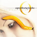 A Perfect Circle Thirteenth Step vinyl record