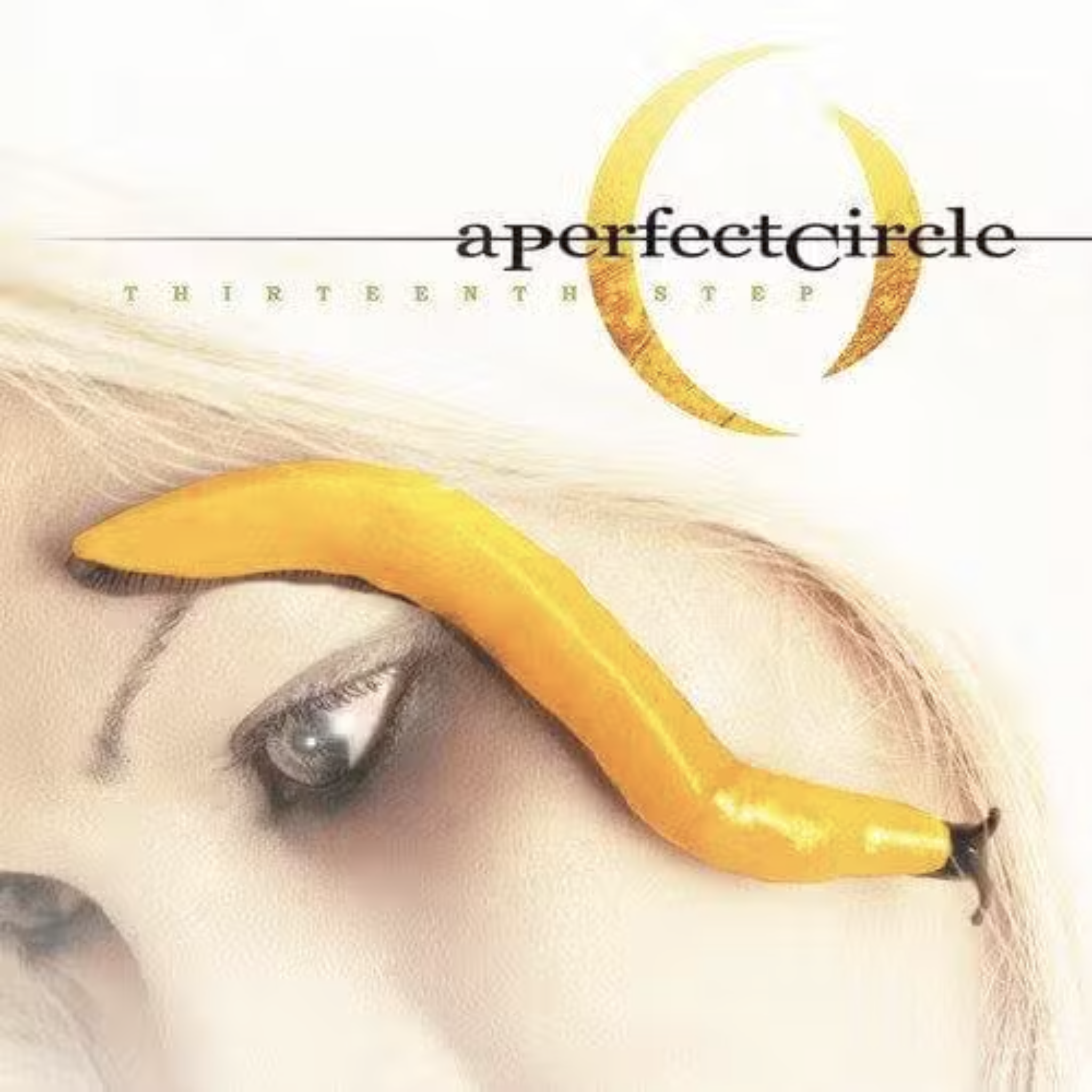 A Perfect Circle Thirteenth Step vinyl record