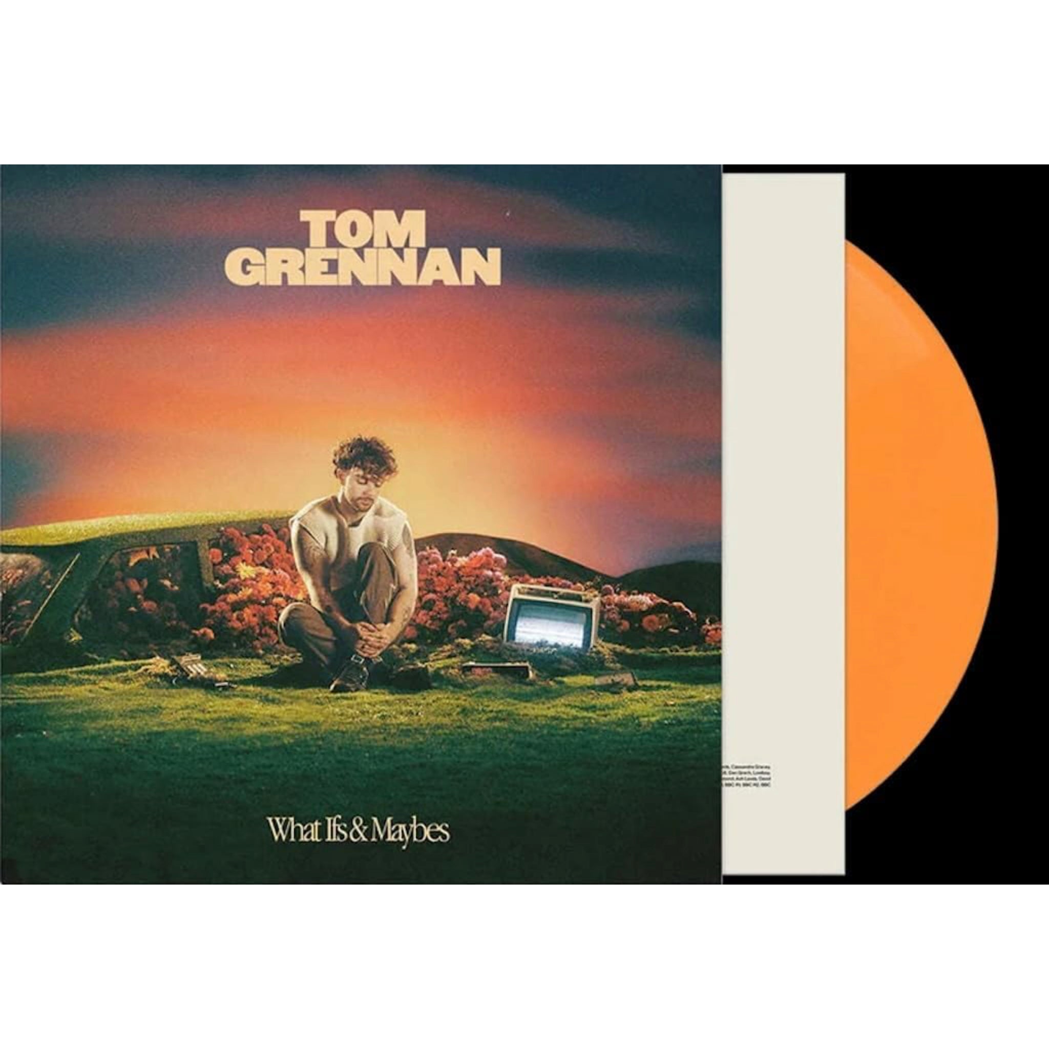 Tom Grennan What Ifs and Maybes vinyl LP