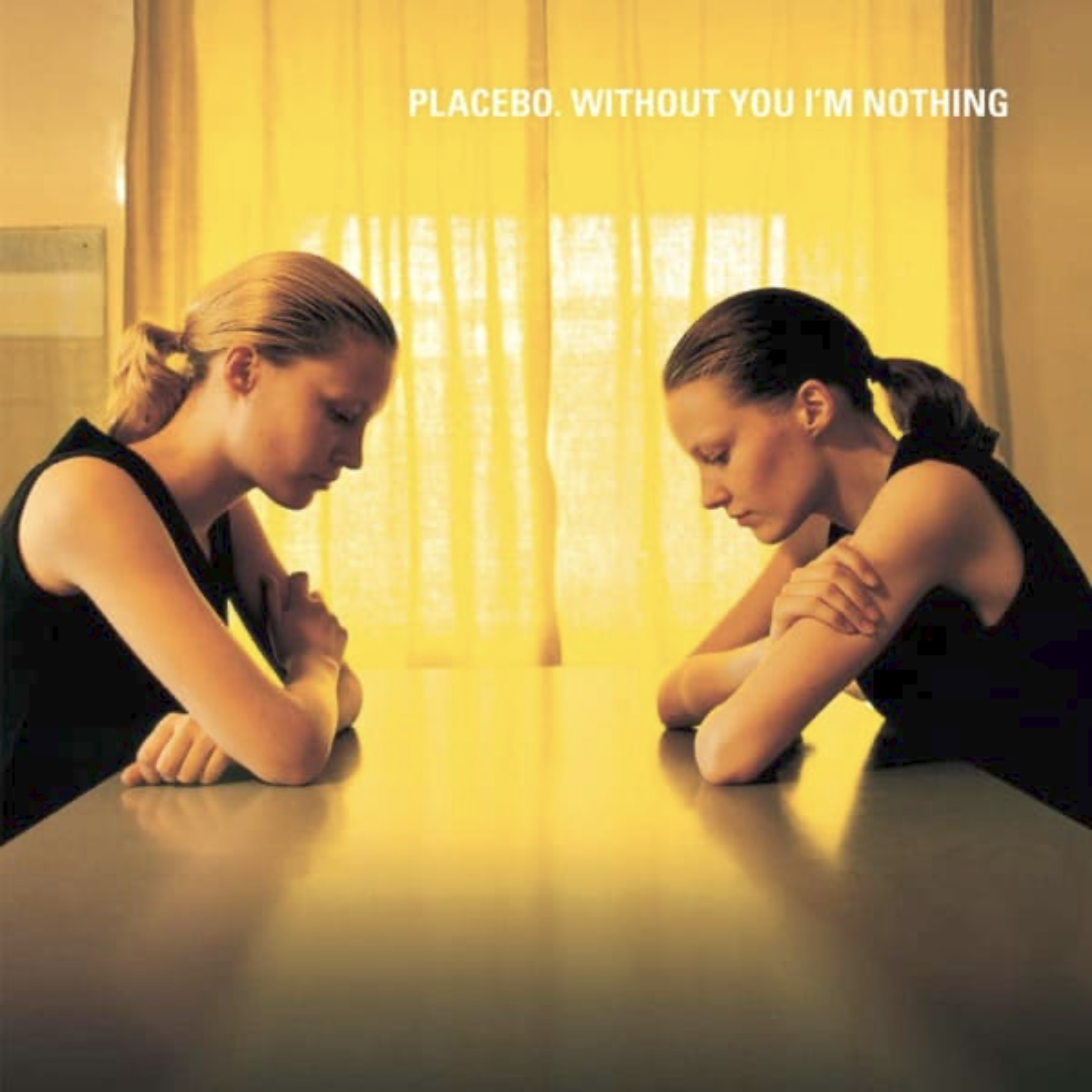 Without you I am nothing Placebo Vinyl album